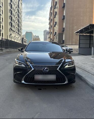 Lexus: Lexus ES: 2021 г., 2.5 л, Вариатор, Гибрид, Седан — 2