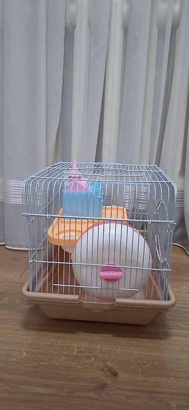 клетка для крысы бу: Клетка для хомячков 36x27 в хорошем состоянии, б/у, за подробностями в — 1