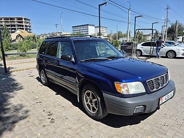 форео: Subaru Forester: 2000 г., 2.5 л, Автомат, Бензин, Кроссовер — 2