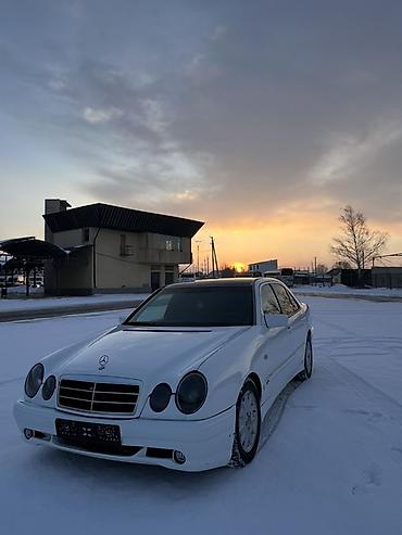 Mercedes-Benz: Mercedes-Benz E-Class: 1996 г., 3 л, Механика, Дизель, Седан — 18