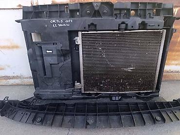 antena citroen c4: KOMPLET PRSA SAHLADNJACIMA ZA CITROEN C4 CACTUS OD 2014. DO 2018. GOD — 2