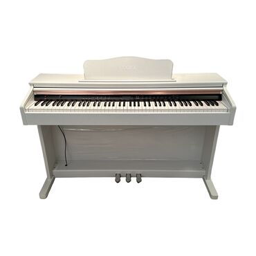 skeyt qiymetleri: Piano, Rəqəmsal, Yeni