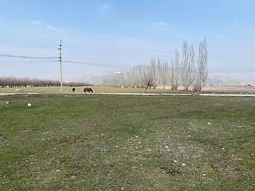 6 соток, Курулуш, Кызыл китеп