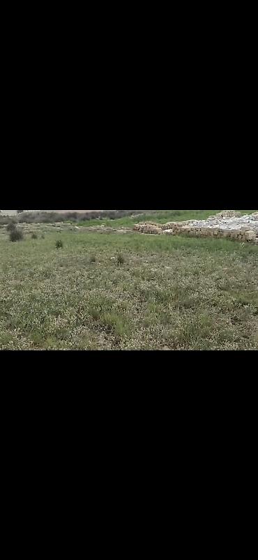 3 sot torpaq satilir: 24 sot, Tikinti, Mülkiyyətçi, Bələdiyyə — 2