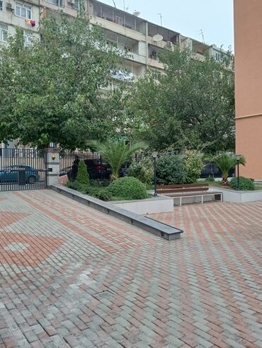 Qonaq otağı dəstləri: Daxili dizayn və mebel paketi – klassik-lüks stil - Geniş qonaq otağı — 10