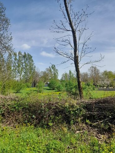 Torpaq sahələrinin satışı: 30 sot, Kənd təsərrüfatı, Mülkiyyətçi, Kupça (Çıxarış) -da lalafo.az — 16 Torpaq sahələrinin satışı: 30 sot, Kənd təsərrüfatı, Mülkiyyətçi, Kupça (Çıxarış) — 16