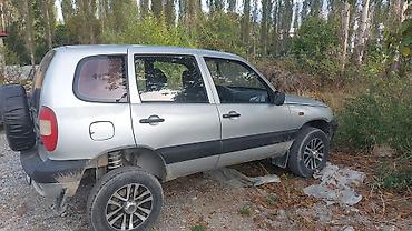 Chevrolet: Chevrolet Niva: 2009 г., Кроссовер — 2
