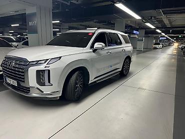 bsm: Hyundai Palisade: 2023 г., 2.2 л, Автомат, Дизель, Кроссовер — 2