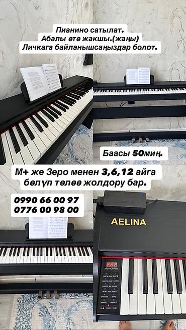 студия фото: Цифровое пианино AELINA - Полноразмерная клавиатура с молоточковой — 1