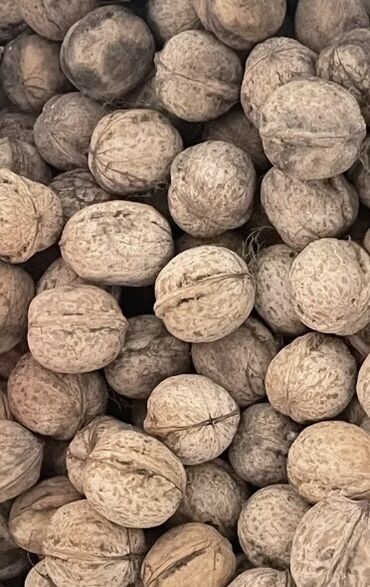 орехи продам: Продаю грецкие орехи 30-40кг