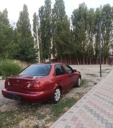 рычак на фит: Toyota Corolla: 2000 г., 1.8 л, Автомат, Бензин, Седан