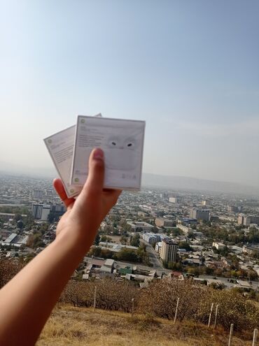 монитор для видеонаблюдения: Вкладыши, Apple, Новый, Беспроводные (Bluetooth), Для занятий спортом