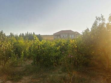 şirvanda torpaq satışı: 12 sot, Tikinti, Barter mümkündür, Kupça (Çıxarış) — 4