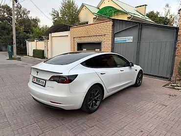 roidmi 4s: Tesla Model 3: 2021 г., Автомат, Электромобиль, Седан — 4