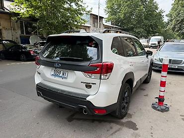 wilderness: Subaru Forester: 2023 г., 2.5 л, Кроссовер — 4
