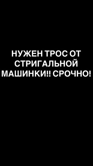 А\ч жаныбралары үчүн товарлар жана шаймандар: Нужен трос от стригальной машинки! СРОЧНО!