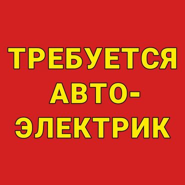 авто электроншик: Требуется автоэлектрик с опытом работы на СТО,место раскрученное