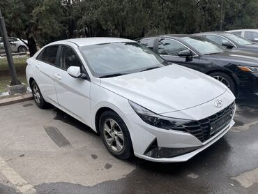 хундай аксент авто: Hyundai Avante: 2020 г., 1.6 л, Автомат, Бензин, Седан