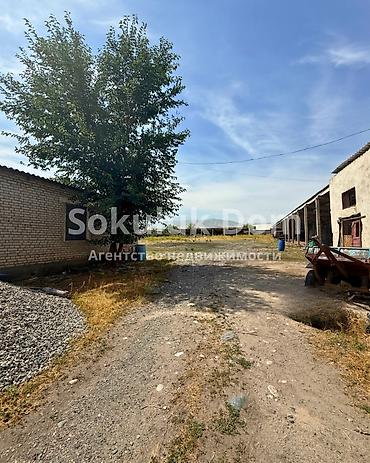 1: 🏠Продается участок промышленного строения в с. Кара-Сакал 🟡Участок: 46 — 5