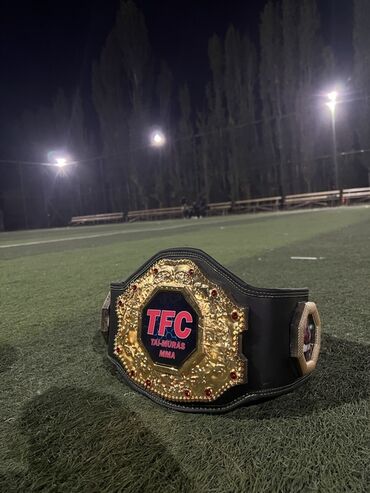 заказать турник домой: Пояс чемпиона TFC (TajMuras MMA) - Эффектный чемпионский пояс с