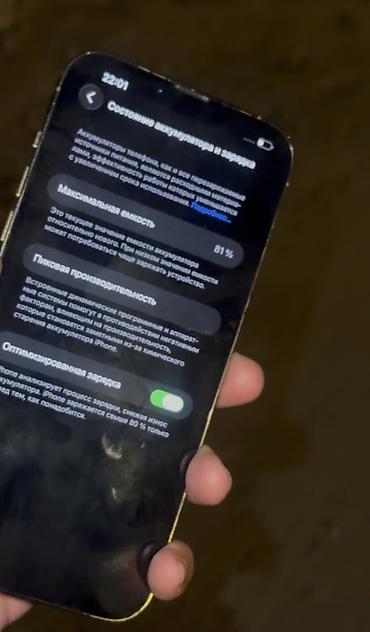 apple 13: IPhone 13 Pro Max, Б/у, 128 ГБ, Серебристый, 81 % — 2