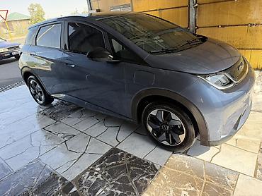 BYD: BYD Dolphin: 2025 г., Электромобиль, Хэтчбэк — 11