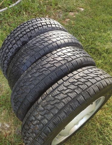 zapas teker: Şin 185 / 75 / R 16