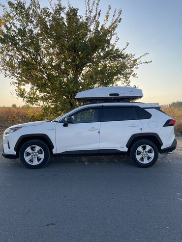 авто гаражное хранение: Toyota RAV4: 2019 г., 2.5 л, Автомат, Бензин, Кроссовер