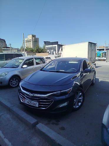 шевроле экспресс купить: Chevrolet Malibu: 2020 г., 1.5 л, Автомат, Бензин, Седан — 3
