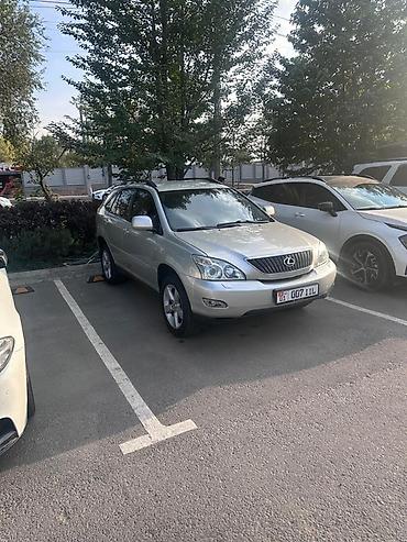 спойлер солярис 1: Lexus RX: 2003 г., 3 л, Автомат, Бензин, Кроссовер — 1