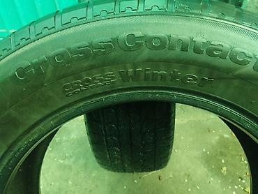 Шины: Шины — 5