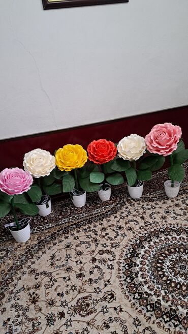 Другое: Другое — 12