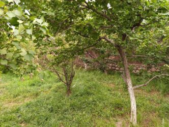 Продажа домов: Дом, 85 м², 3 комнаты — 2