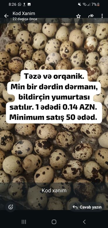yumurta bəzəyi: Yumurta