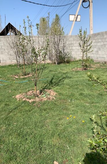 Продажа домов: Времянка, 50 м², 2 комнаты, Собственник, Косметический ремонт — 16