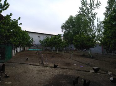 Другая коммерческая недвижимость: Срочно продается помещение под бизнес вдоль дороги 2- х уровней — 5