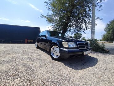 газ лифт: Mercedes-Benz S 320: 1996 г., 3.2 л, Автомат, Газ, Седан