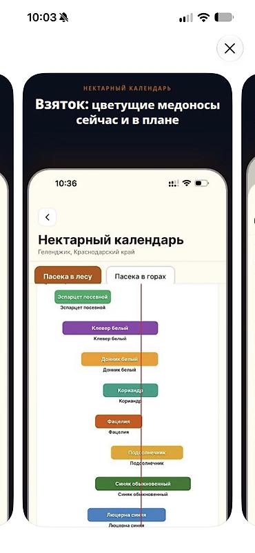 Разработка сайтов, приложений: Добрый день! предлагаем Разработкау мобильных приложений, просьба — 6