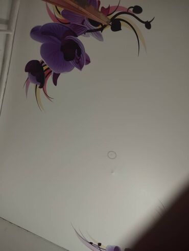 Натяжной потолок: Натяжной потолок Глянцевое, Матовое, 3D потолки Гарантия, Бесплатная консультация, Бесплатный замер — 13