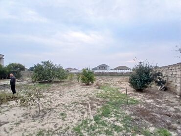 Torpaq sahələrinin satışı: Satılır: 25 sot torpaq sahəsi - Hündür daş hasarla tam əhatələnmiş -da lalafo.az — 5 Torpaq sahələrinin satışı: Satılır: 25 sot torpaq sahəsi - Hündür daş hasarla tam əhatələnmiş — 5