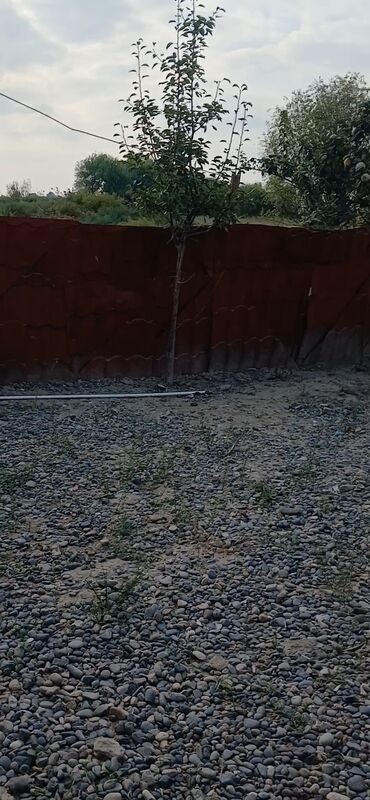 Torpaq sahələrinin satışı: 80 sot, Kənd təsərrüfatı, Mülkiyyətçi, Kupça (Çıxarış) — 16