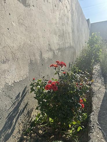 Həyət evləri və villaların satışı: 7 otaqlı, 185 kv. m — 6