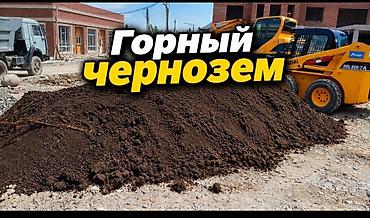 малина эльбрус фото: В тоннах, Платная доставка, Зил — 4