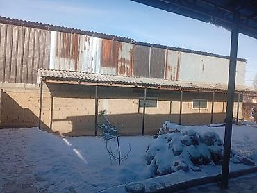 Продажа домов: Дом, 80 м², 4 комнаты, Собственник — 25