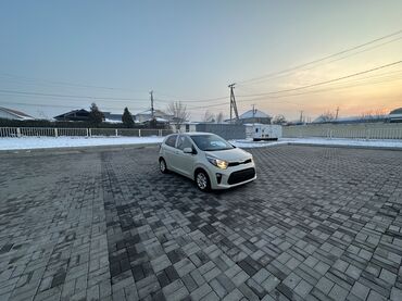 Kia: Kia Picanto: 2019 г., 1 л, Автомат, Бензин, Хэтчбэк — 4