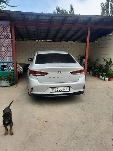 хонда аккорд 2001: Hyundai Sonata: 2018 г., Автомат, Седан — 1