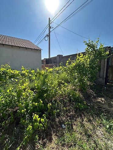 Үйлөрдү ижарага берүү: 95 м², 2 бөлмө, Ак-Ордо 1 ж/м, Жаныбарлары жок — 3