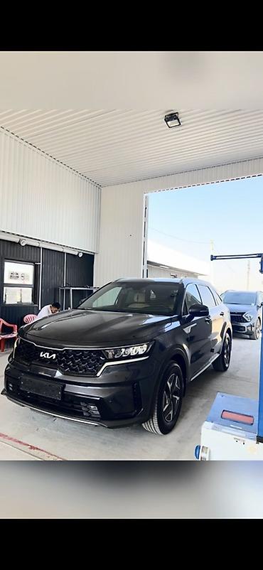 на кия: Kia Sorento: 2022 г., 1.6 л, Автомат, Гибрид, Кроссовер — 2