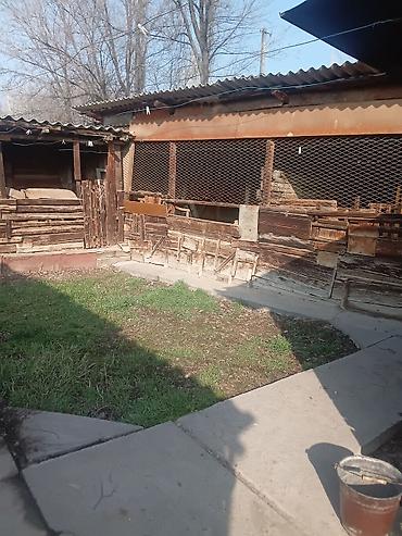 Продажа коттеджей и домов: Продается частный дом с приусадебным участком. Описание: - Участок с — 8