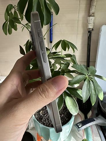 Apple iPhone: IPhone 15 Pro Max, Б/у, 256 ГБ, Natural Titanium, Чехол, Коробка, 88 % — 2